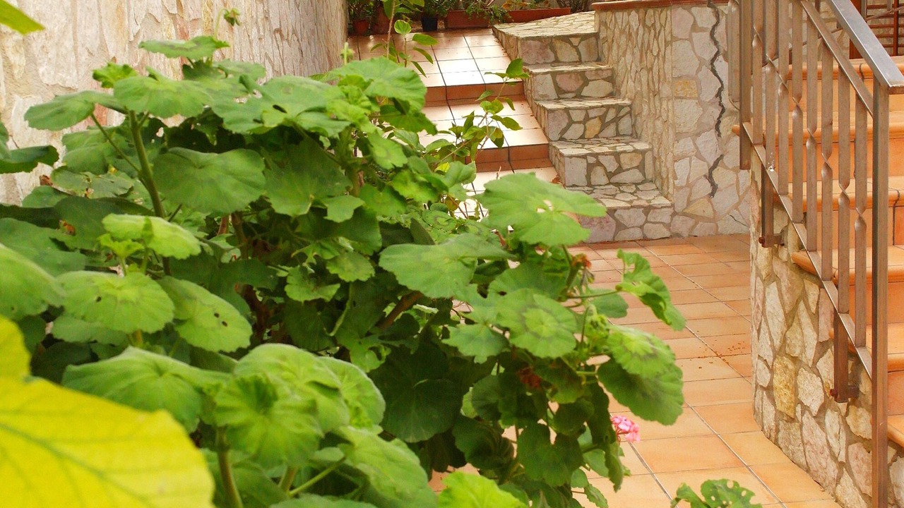 Photo of Outdoor in Marettimo