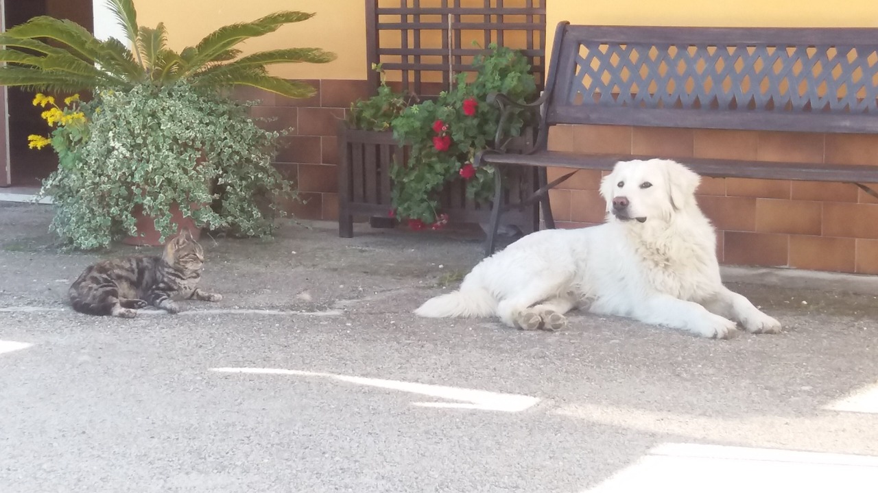 Photo of Outdoor in Caltabellotta