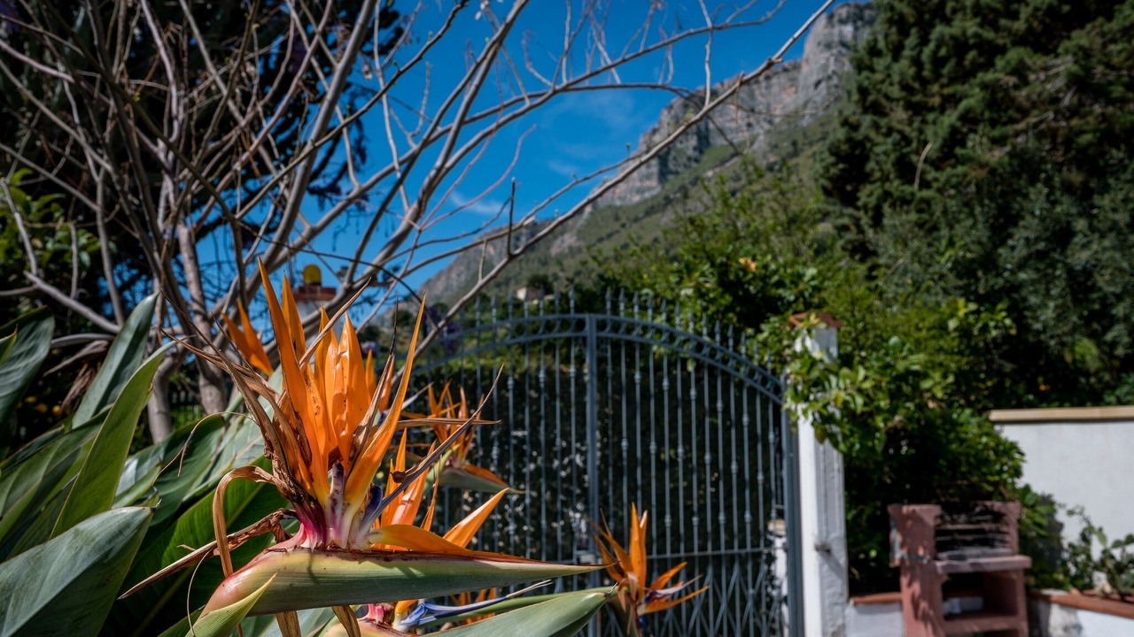 Photo of Outdoor in Castellammare del Golfo