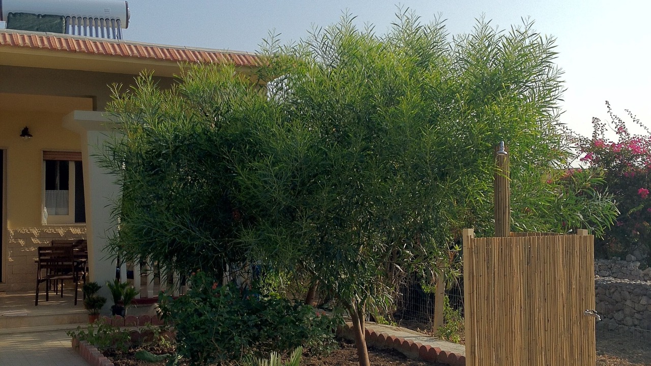 Photo of Outdoor in Santa Maria del Focallo