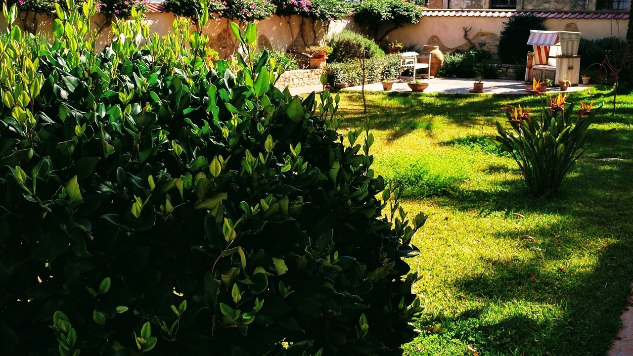 Photo of Outdoor in Marina di Patti