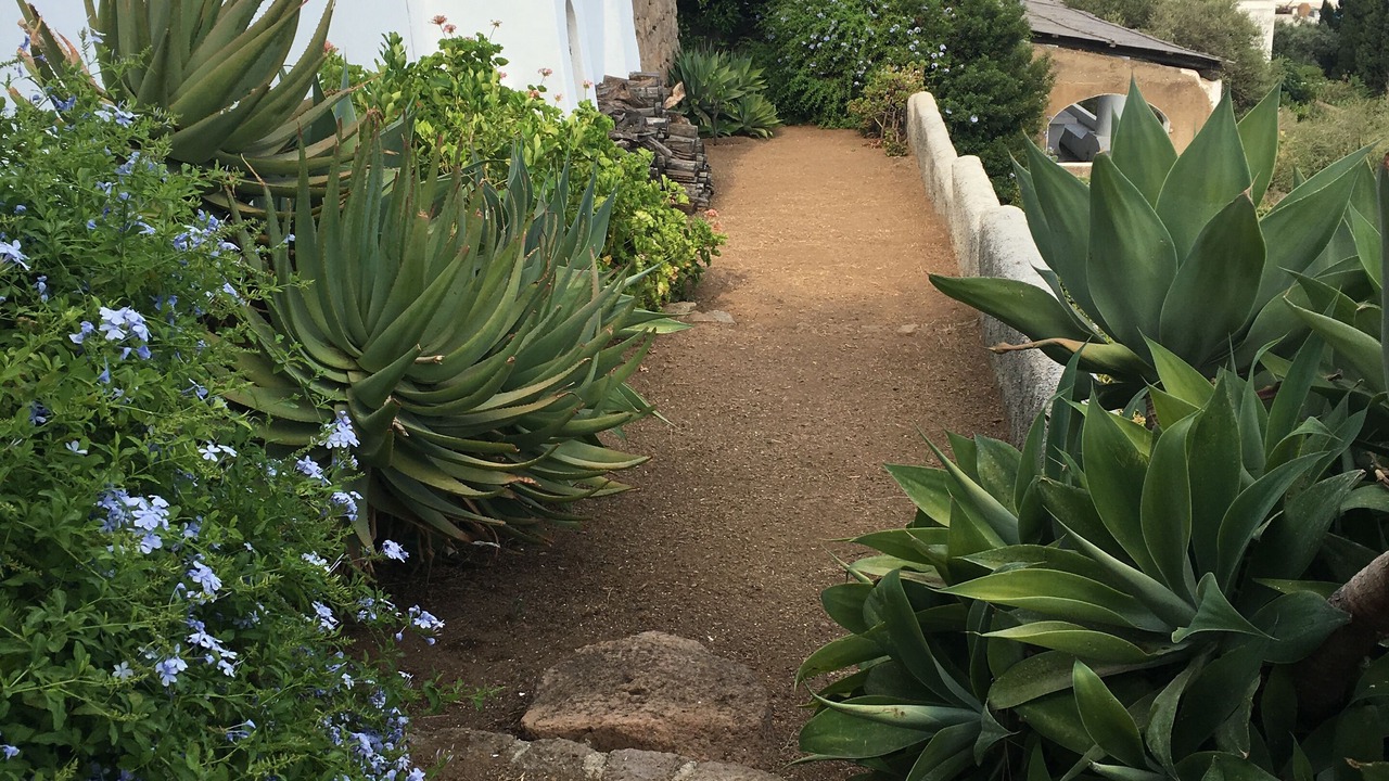 Photo of Outdoor in Panarea