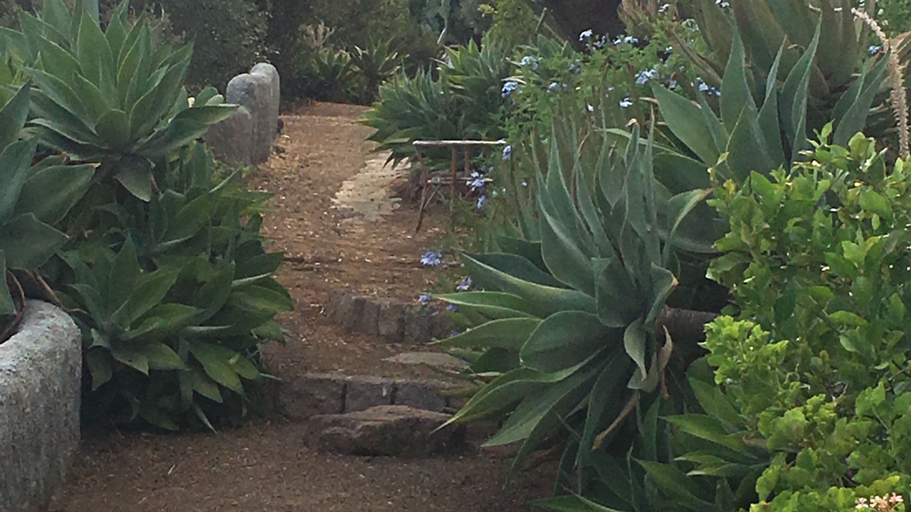 Photo of Outdoor in Panarea