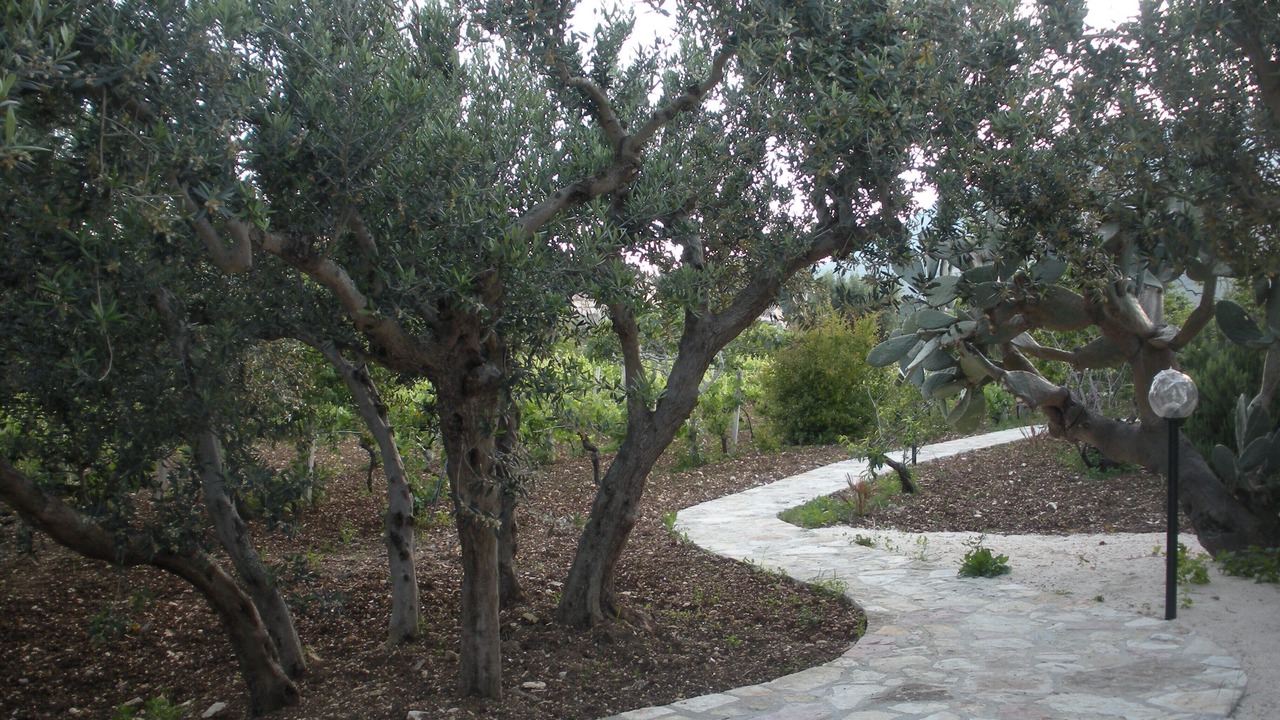 Photo of Outdoor in Scopello