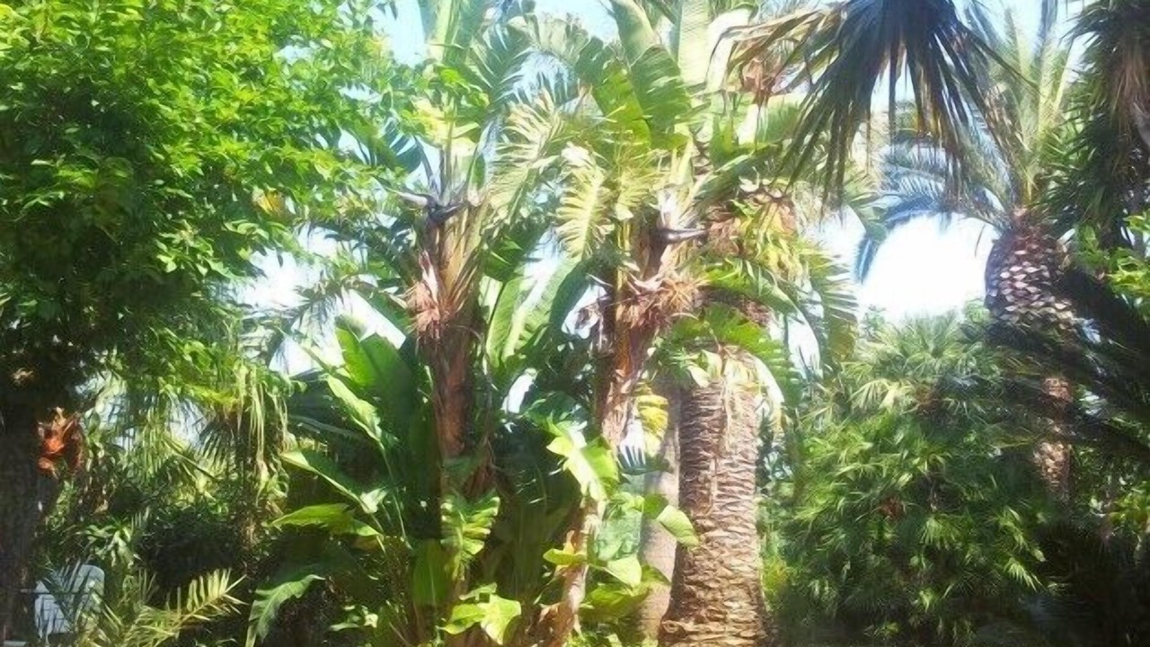 Photo of Outdoor in Ricadi