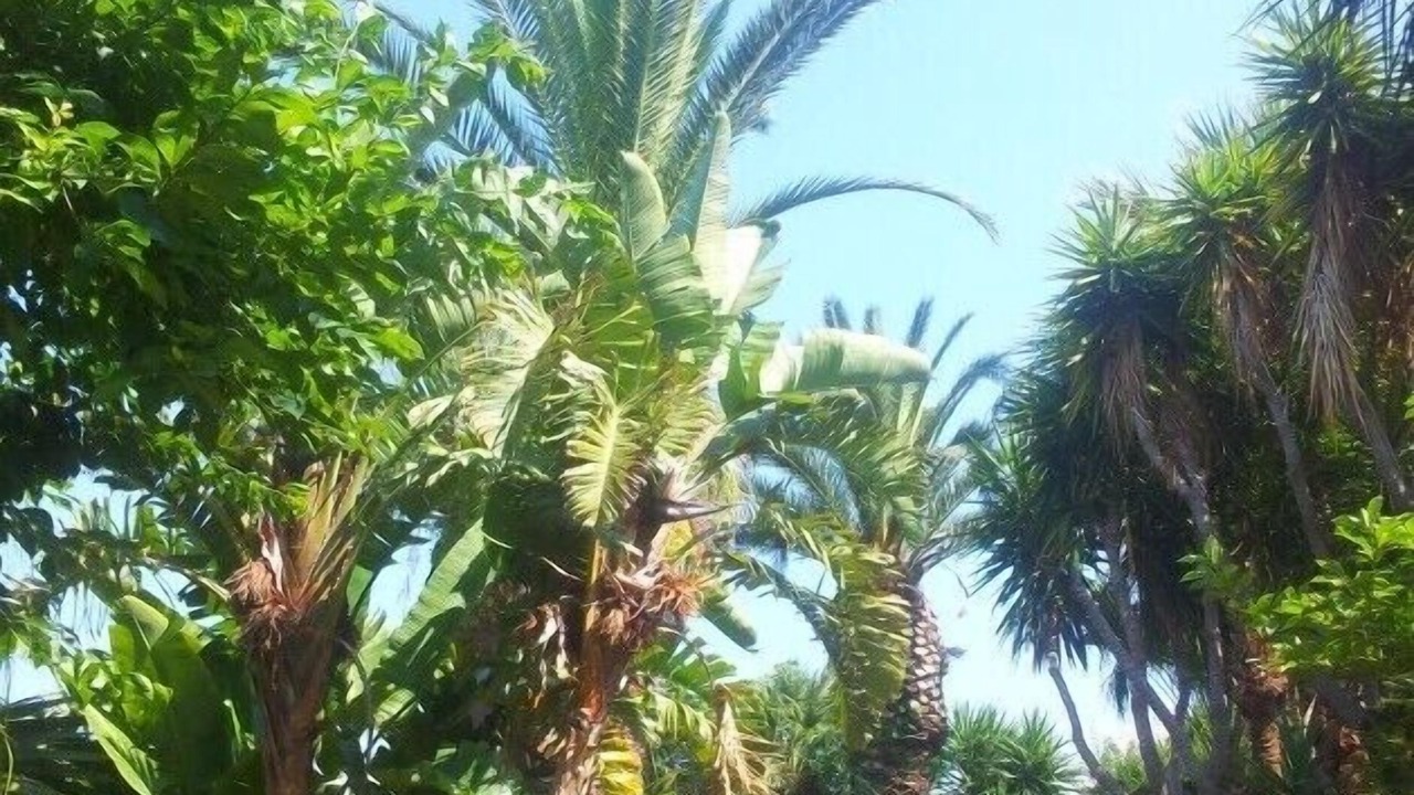 Photo of Outdoor in Ricadi