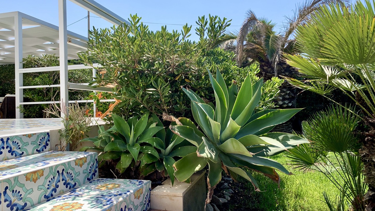 Photo of Outdoor in Scoglitti