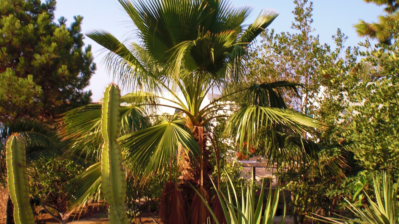 Photo of Outdoor in Panarea