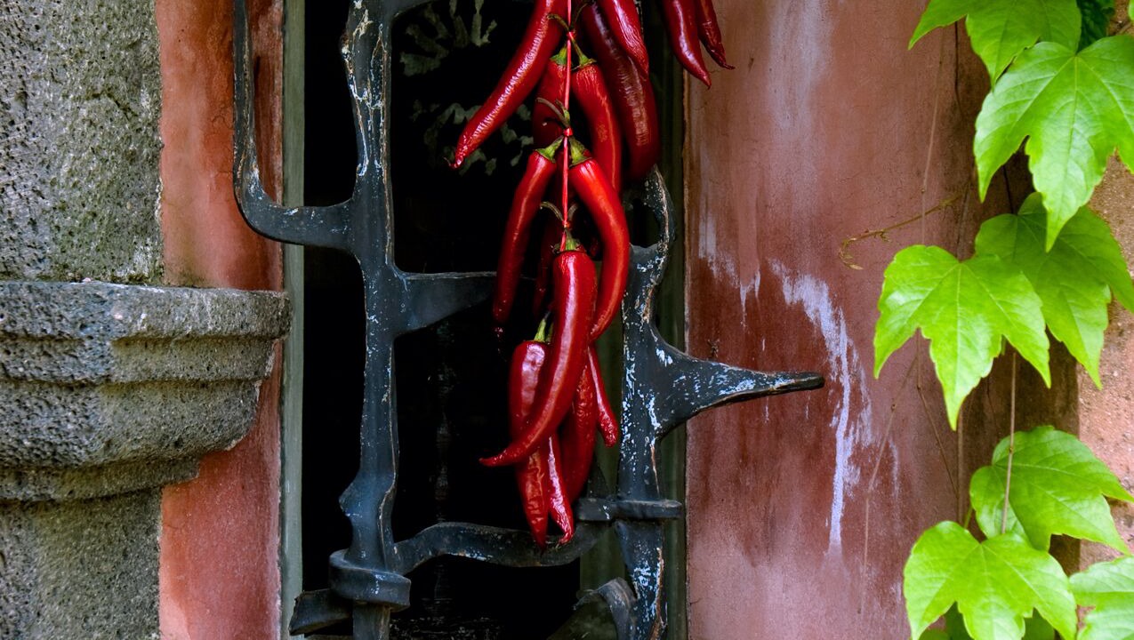 Photo of Outdoor in Viagrande