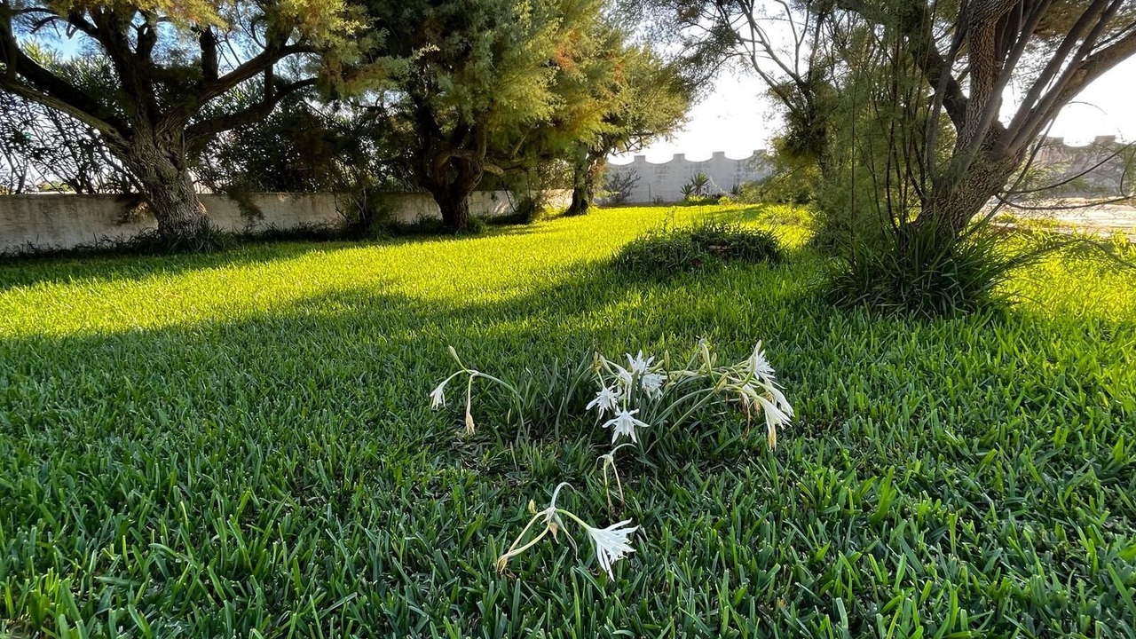 Photo of Outdoor in Fondo Morte