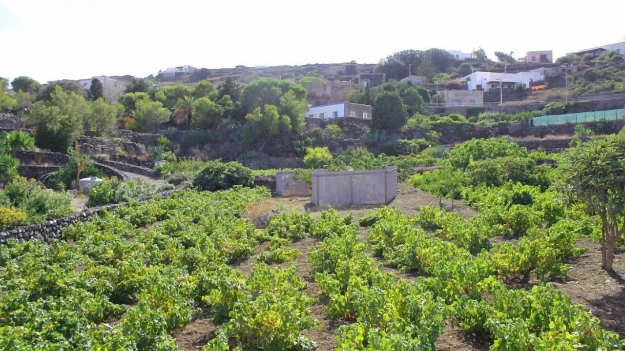 Photo of Outdoor in Kamma