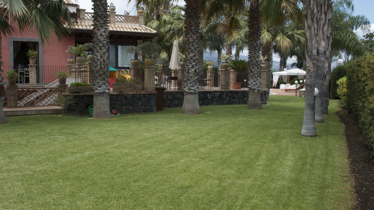 Photo of Outdoor in Archi