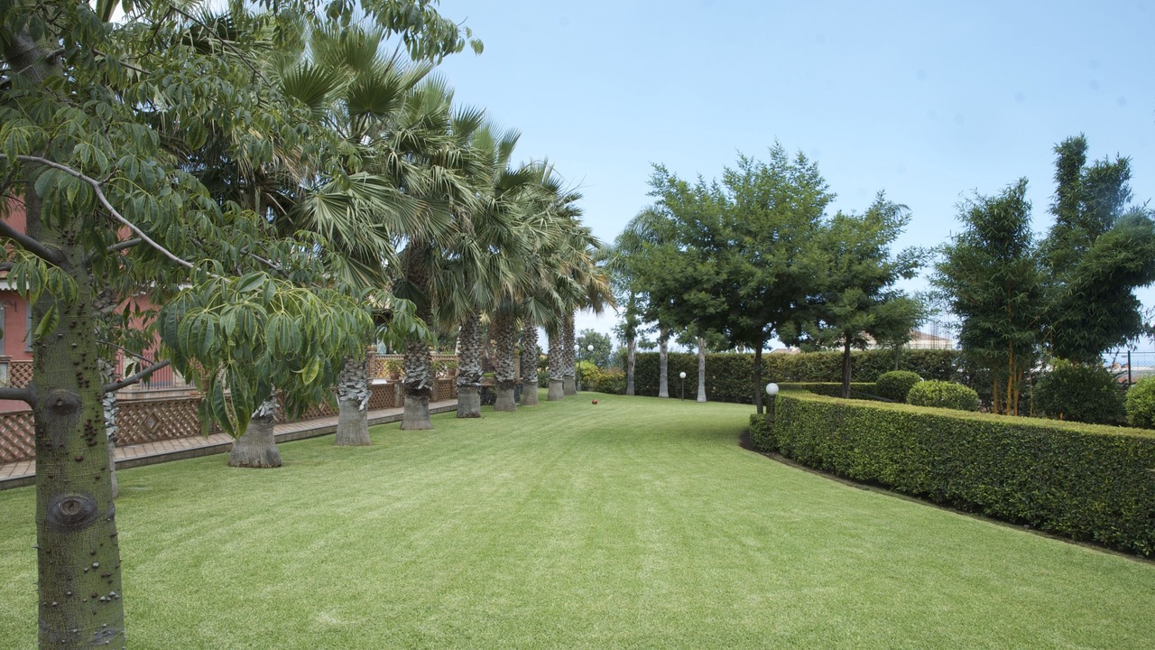 Photo of Outdoor in Archi