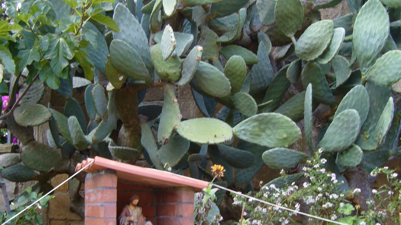 Photo of Outdoor in Caltanissetta