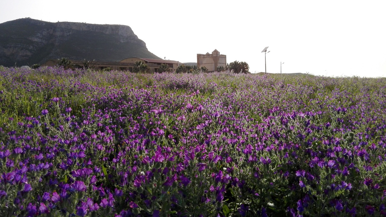 Photo of Outdoor in Erice