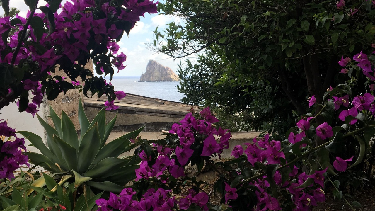Photo of Outdoor in Panarea