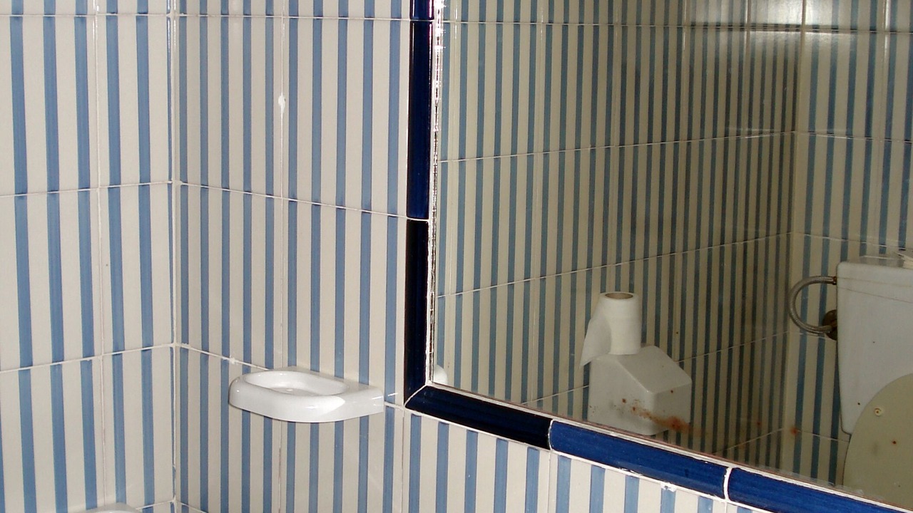 Photo of Bathroom in Panarea