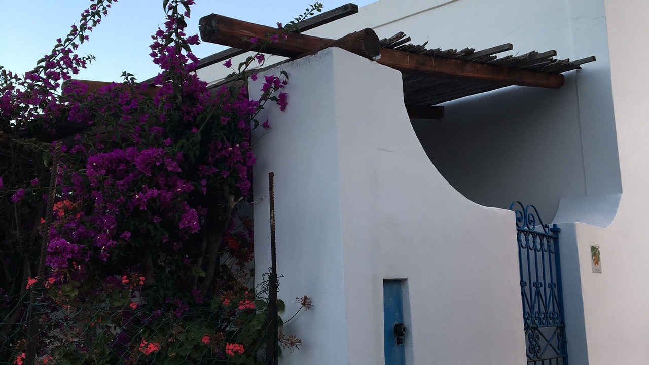 Photo of Outdoor in Panarea