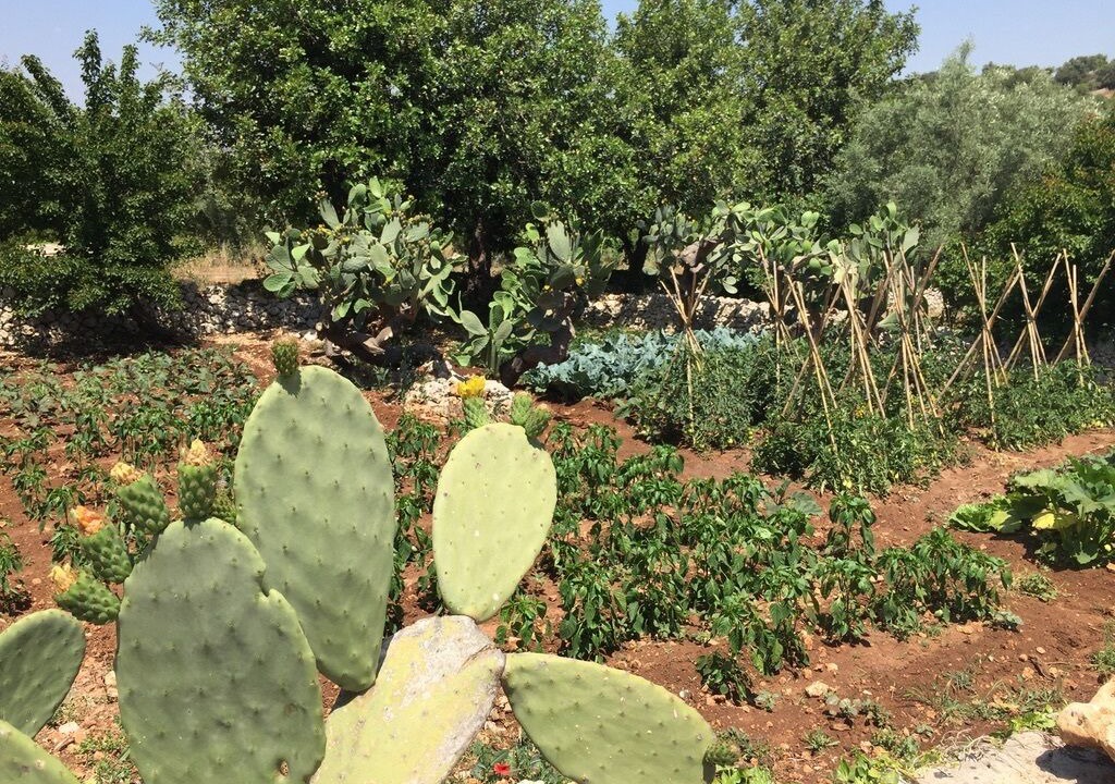 Photo of Outdoor in Noto