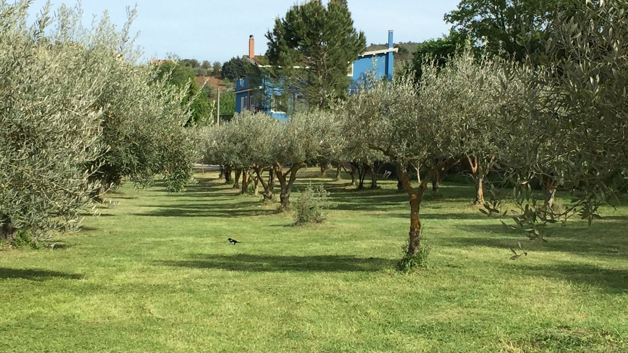 Photo of Outdoor in Mirabella Imbaccari