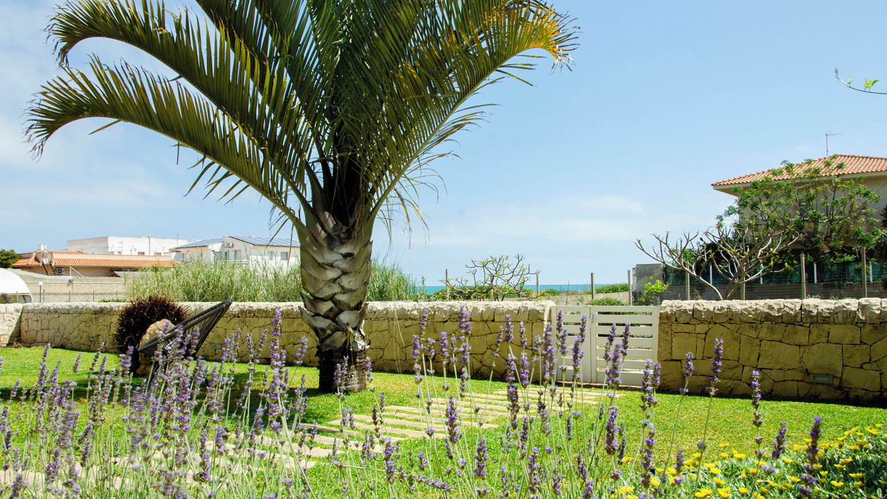 Photo of Outdoor in Punta Braccetto