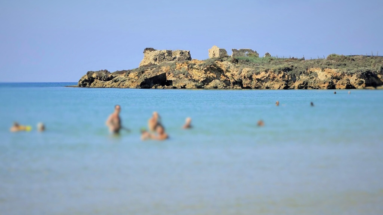 Photo of Others in Punta Braccetto
