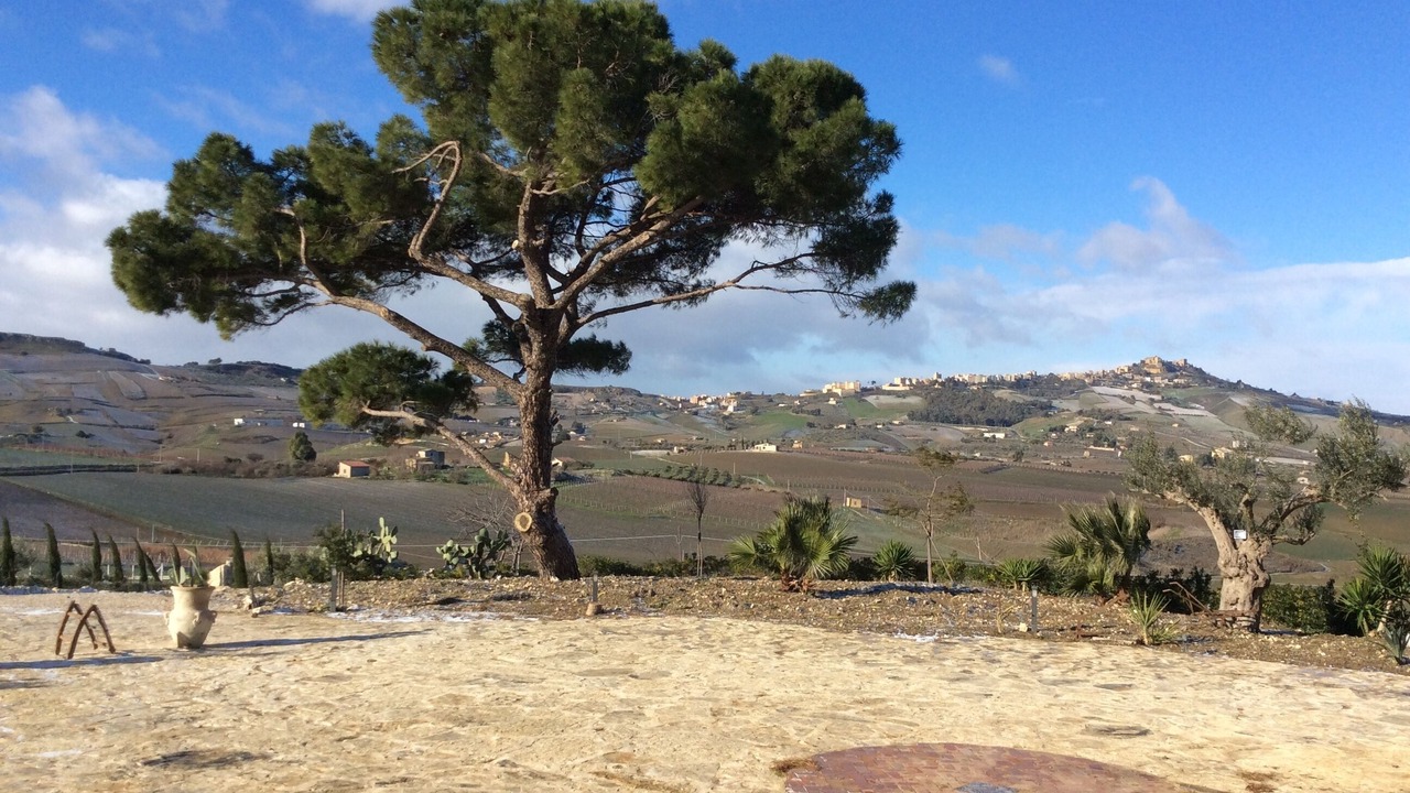 Photo of Outdoor in Naro