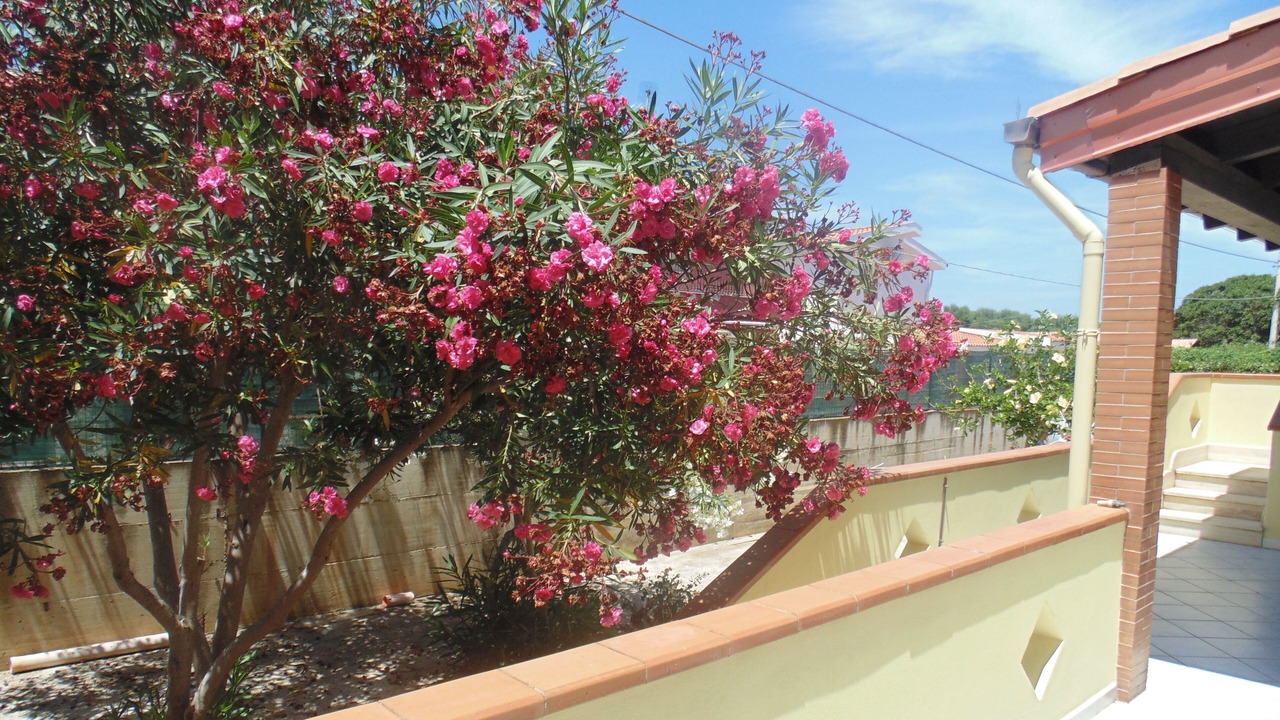 Photo of Outdoor in Solfarelli