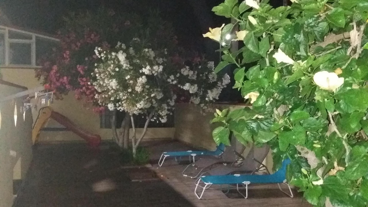 Photo of Patio Balcony in Solfarelli