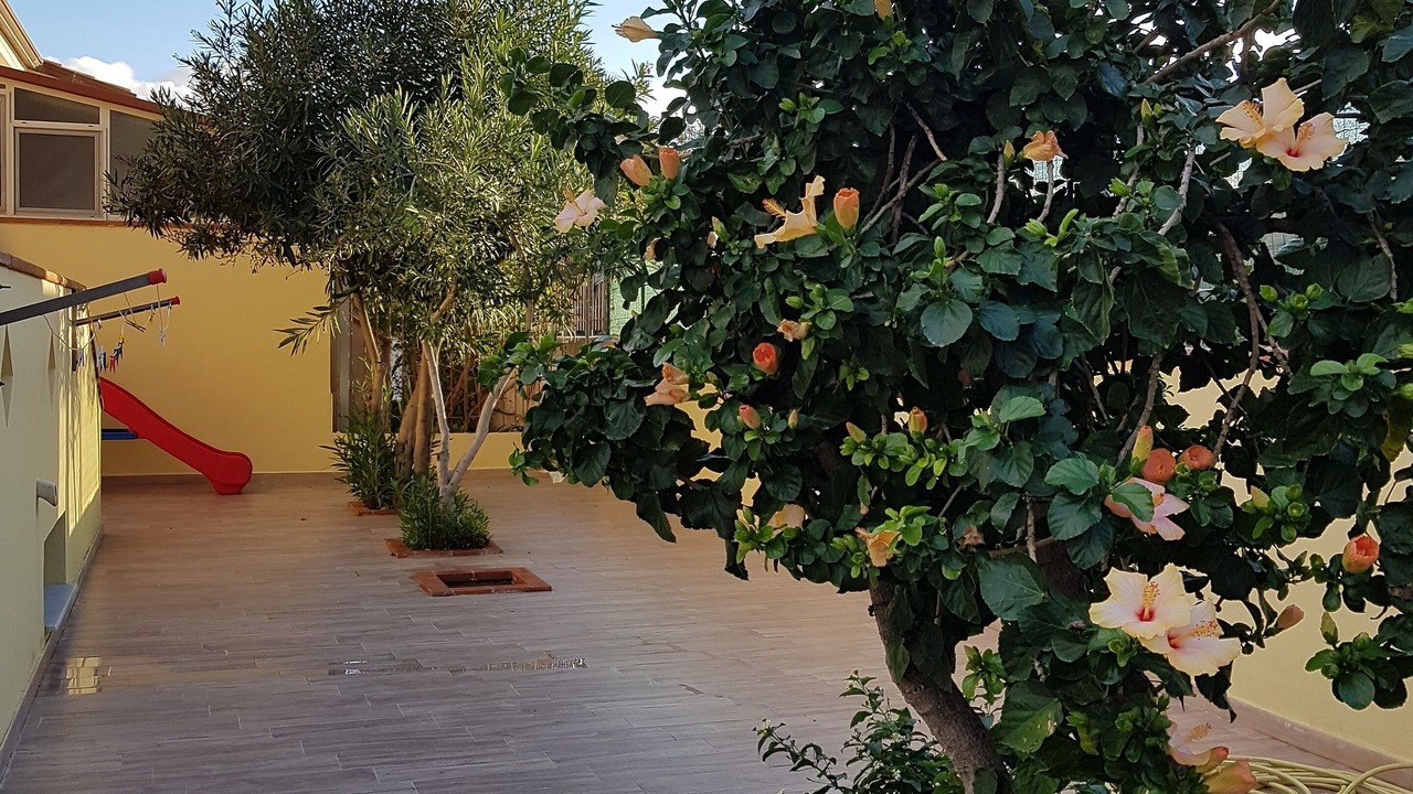 Photo of Outdoor in Solfarelli