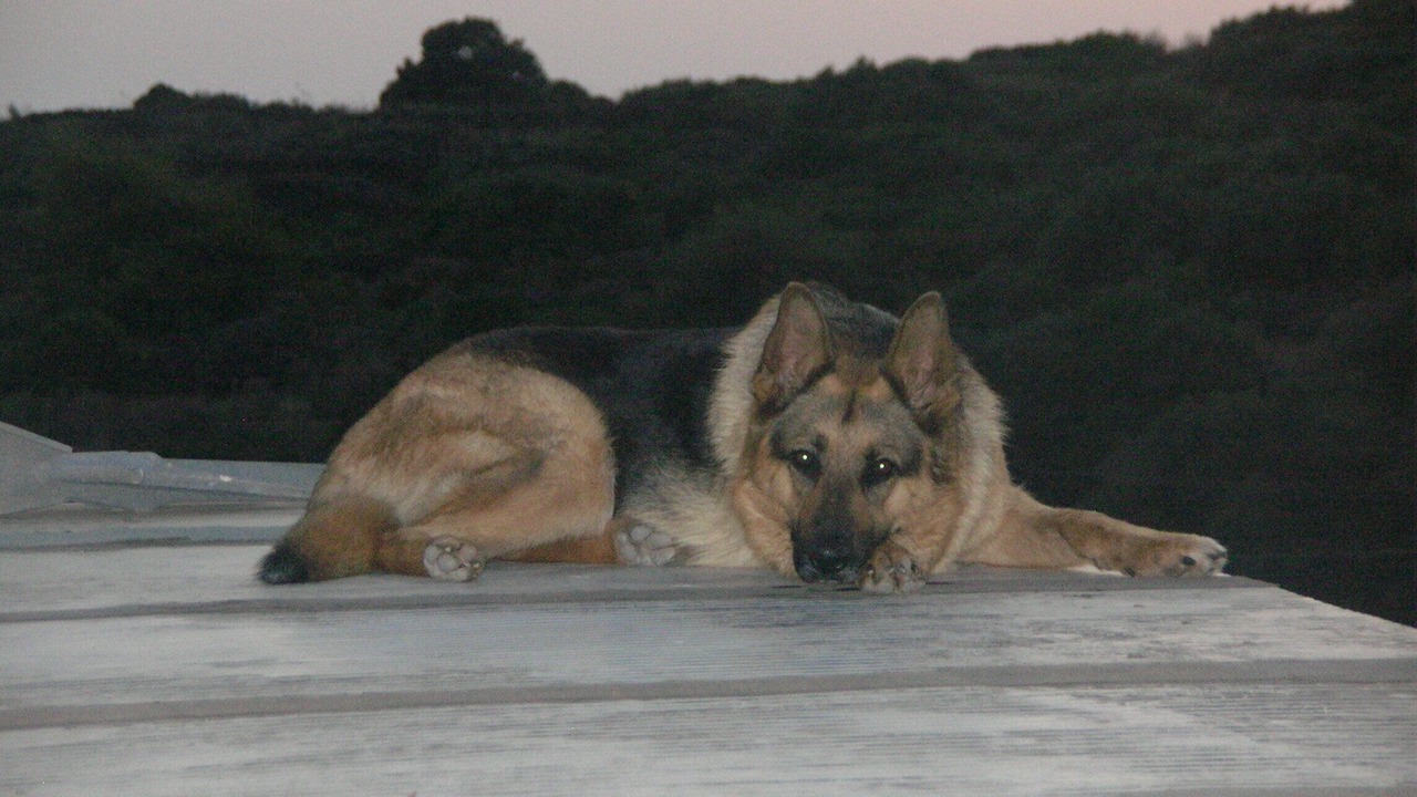 Photo of Others in Pantelleria