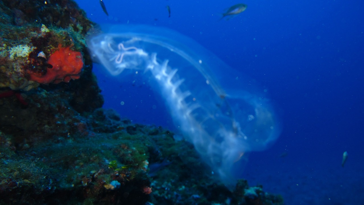 Photo of Outdoor in Pantelleria