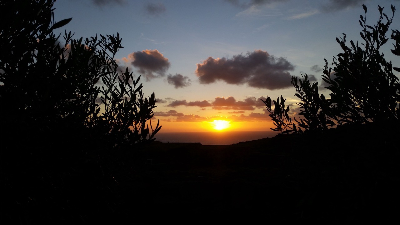 Photo of Others in Pantelleria