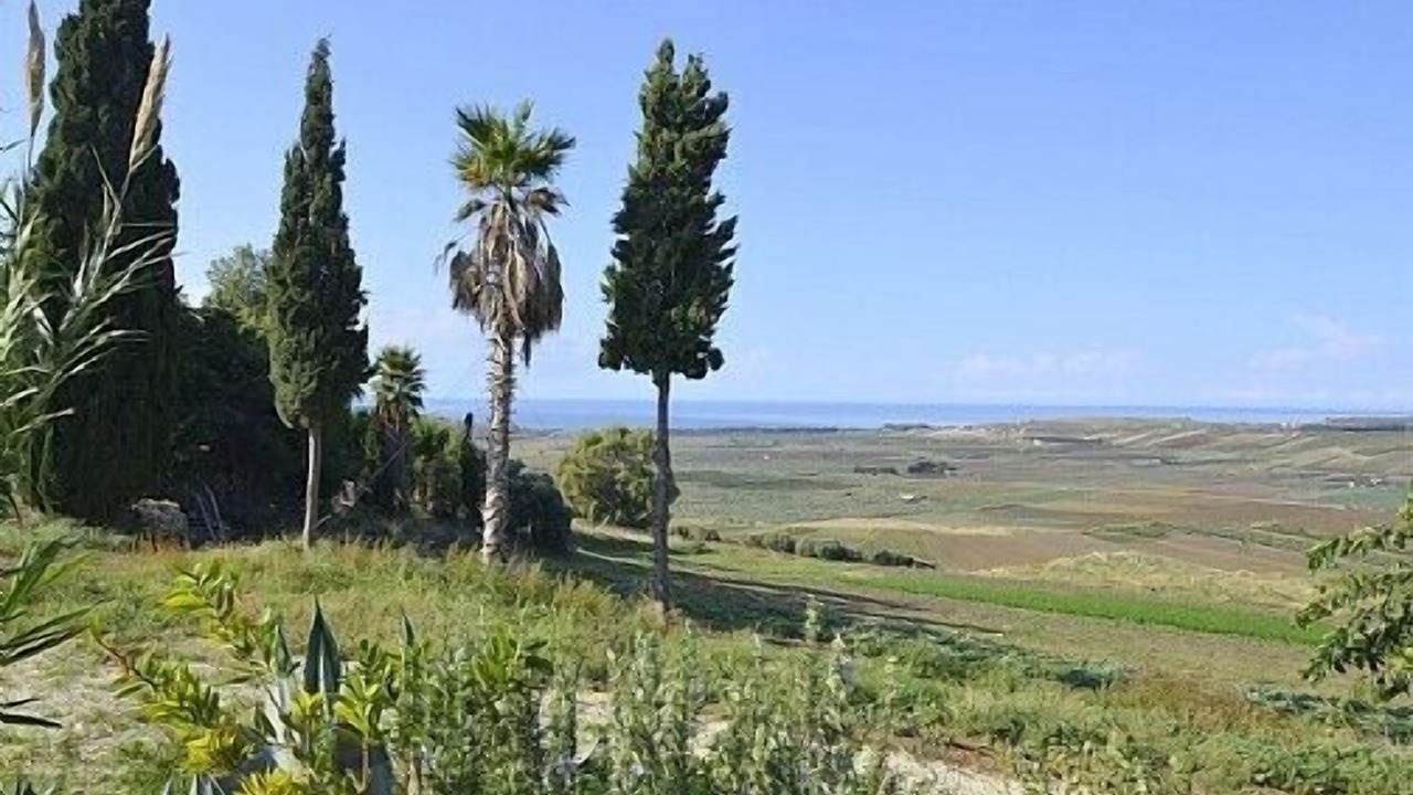 Photo of Others in Sciacca