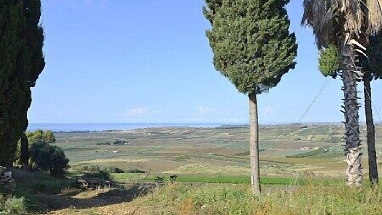 Photo of Others in Sciacca