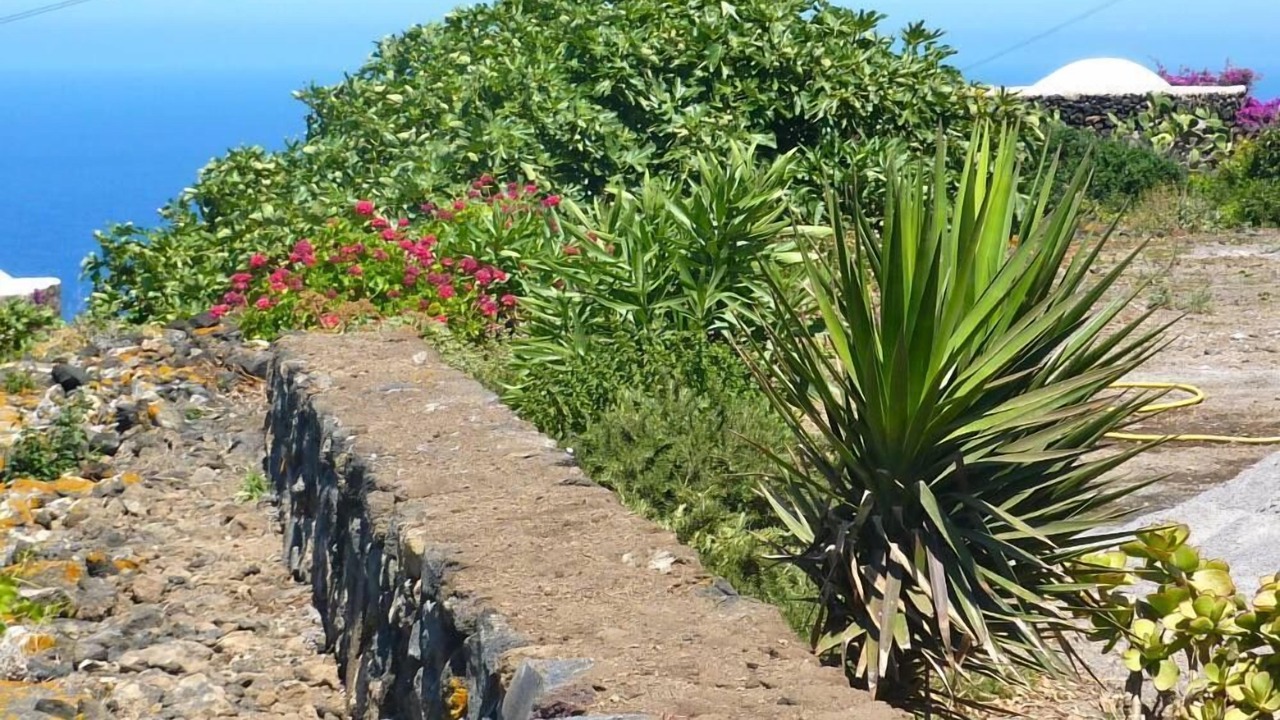 Photo of Outdoor in Pantelleria