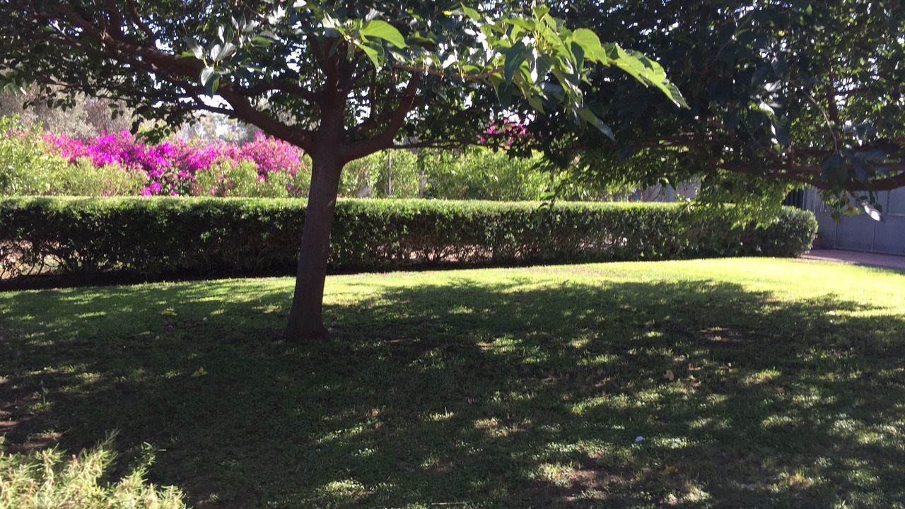 Photo of Outdoor in Contrada Pantano d'Arci