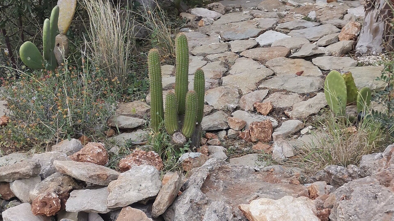 Photo of Outdoor in Scopello