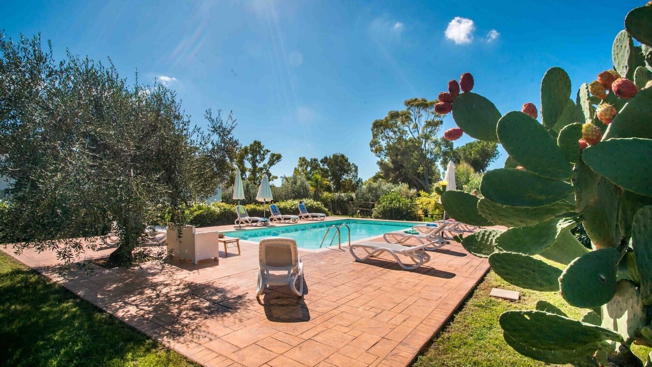 Photo of Outdoor in Montevago