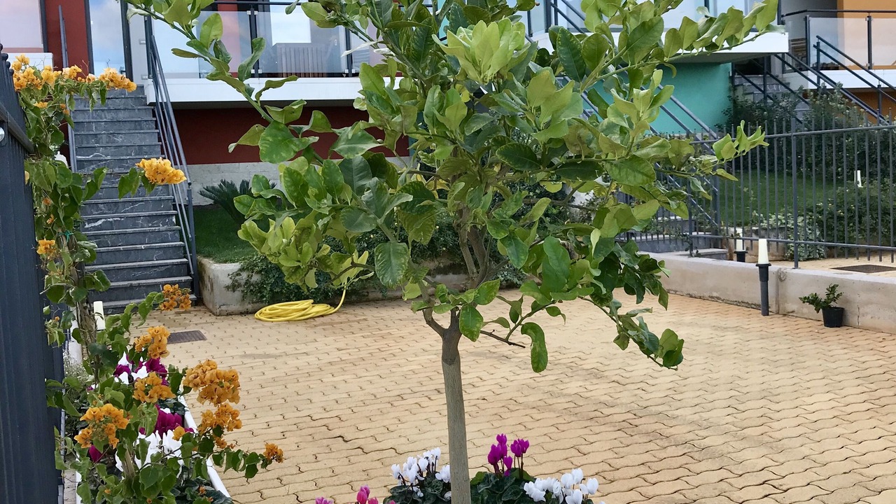 Photo of Outdoor in Altavilla Milicia