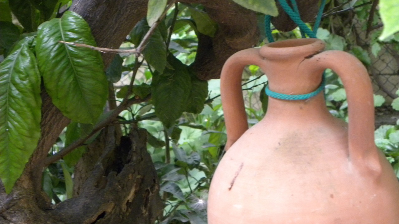 Photo of Outdoor in Casteldaccia