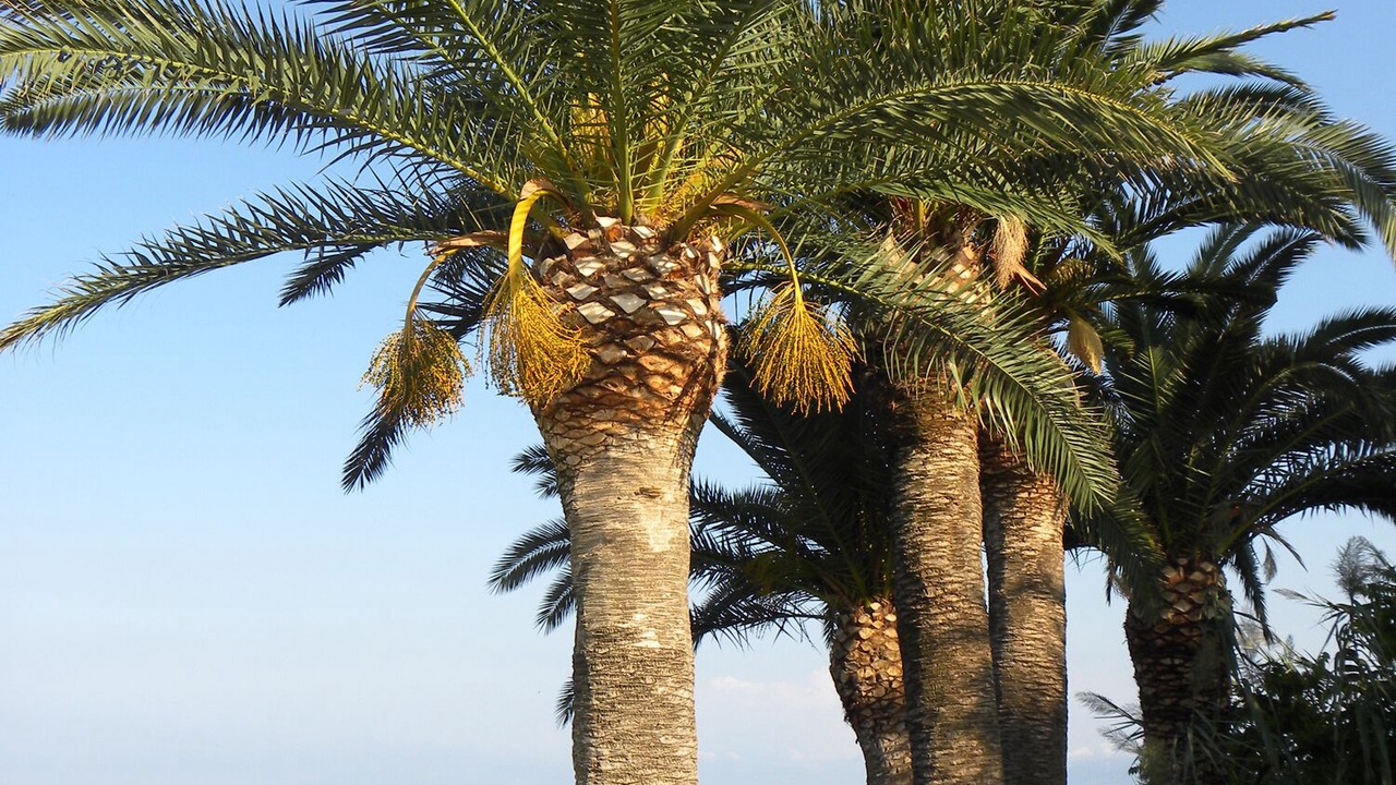 Photo of Outdoor in Casteldaccia