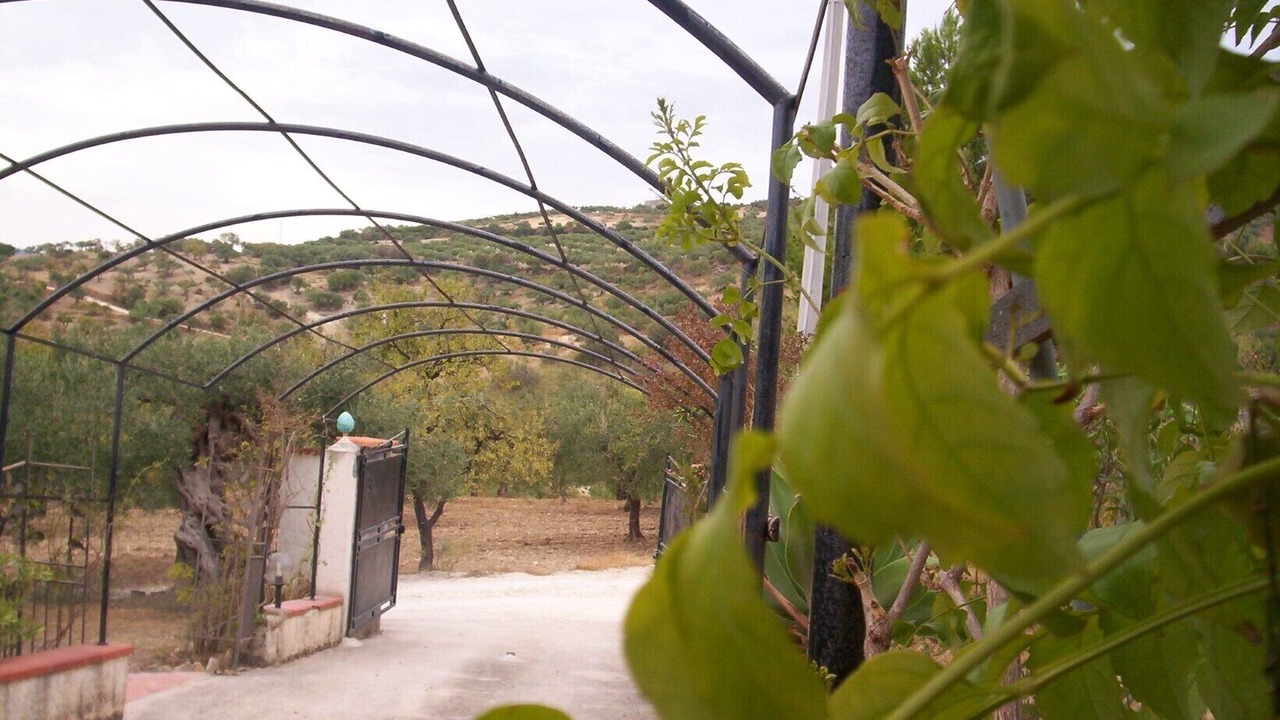 Photo of Outdoor in Sciacca Historic Centre