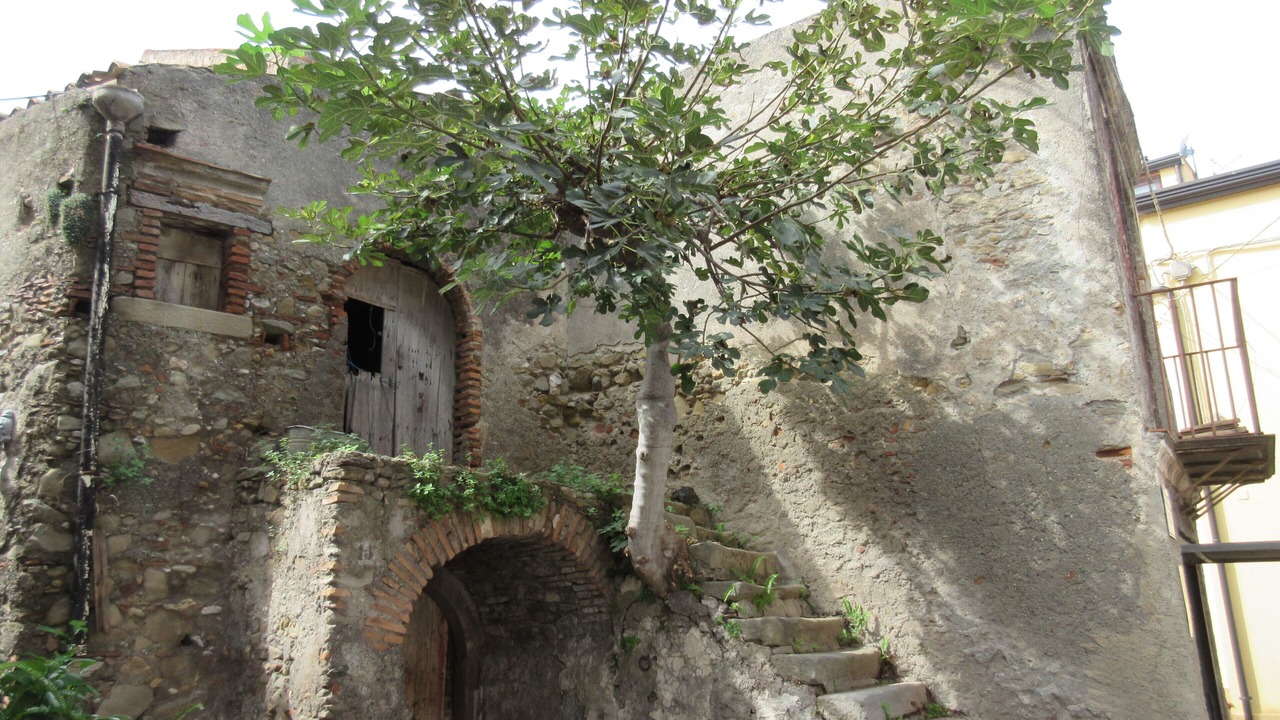 Photo of Outdoor in Rodi Milici