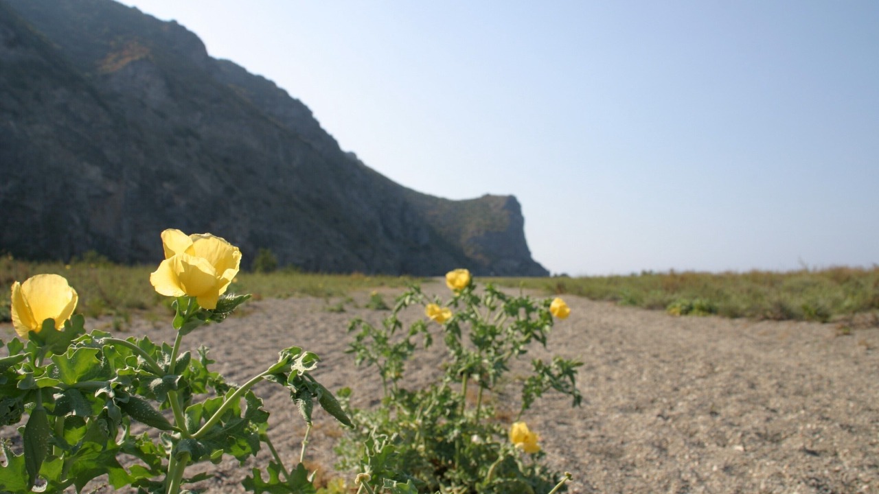 Photo of Outdoor in Rodi Milici
