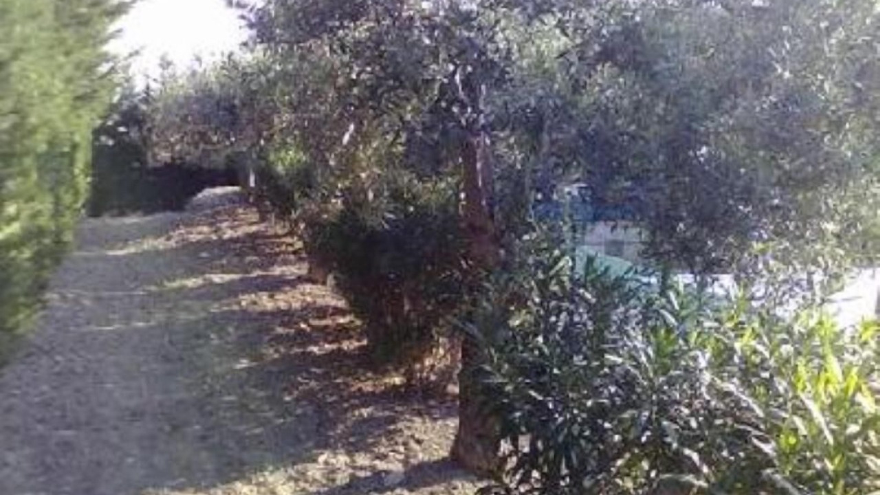 Photo of Outdoor in Realmonte