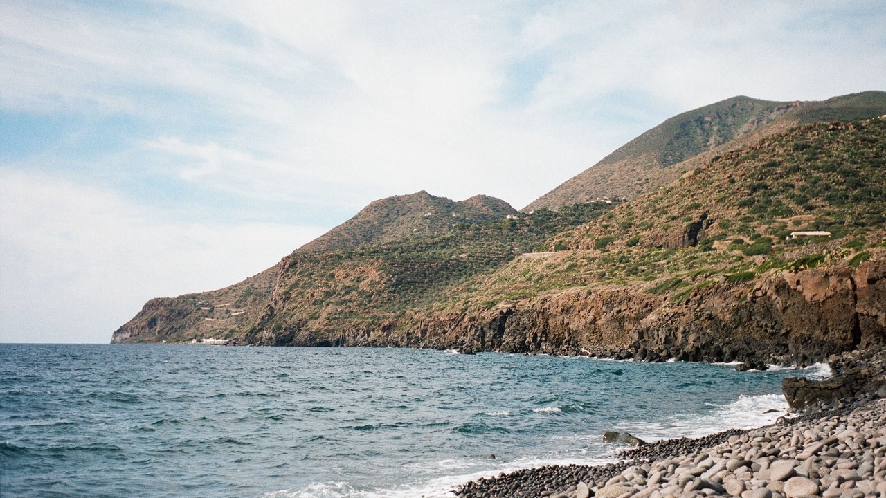 Photo of Others in Stimpagnato