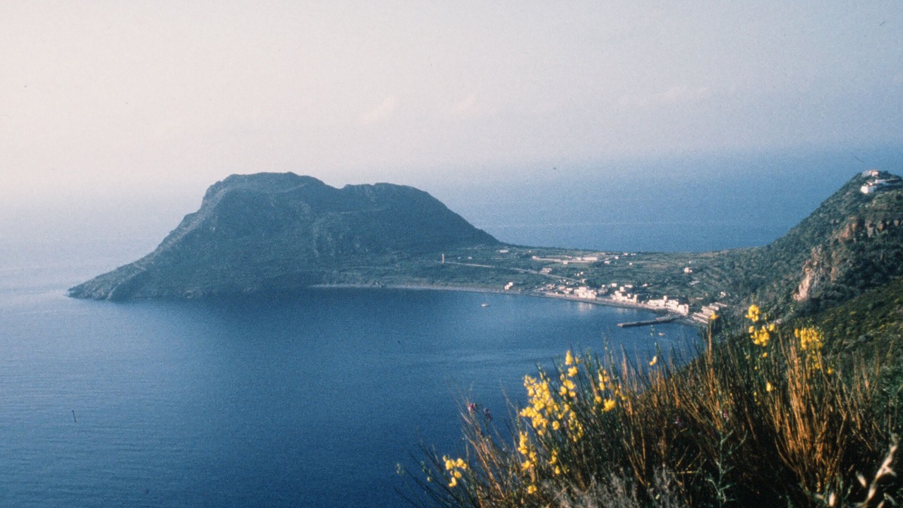 Photo of Others in Stimpagnato
