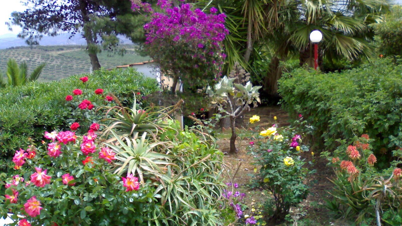 Photo of Outdoor in Borgo Bonsignore