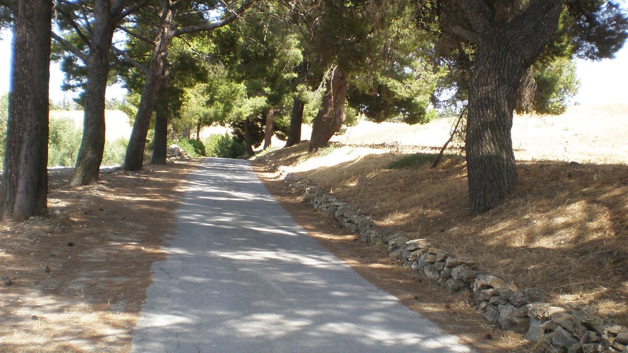 Photo of Outdoor in Mazzarino